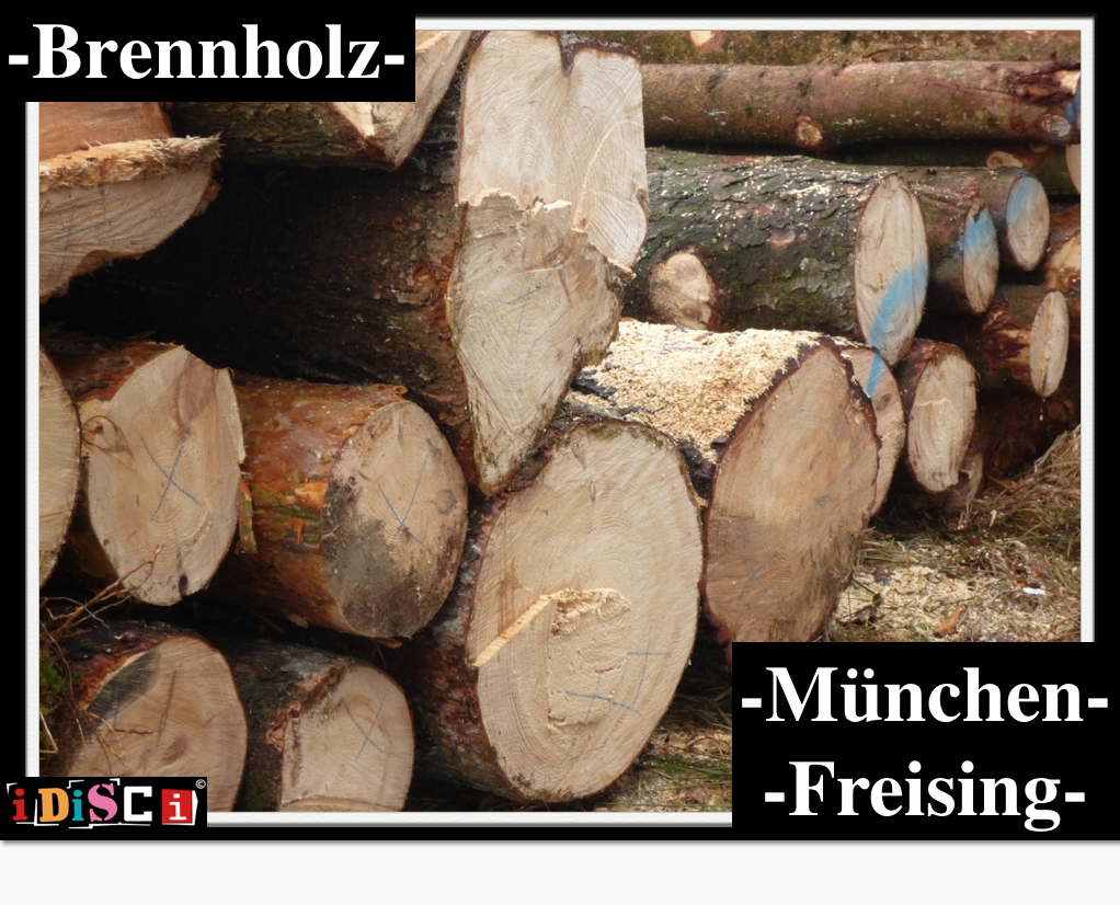 Brennholz München  - Trockenes Brennholz (Joachim Kastner)