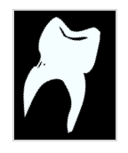 Praxis für Zahnheilkunde - Dr. Herbert Bruckbauer